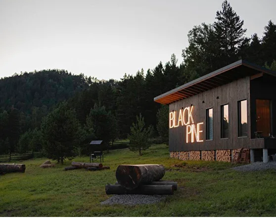 Black Pine